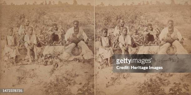 Family group posing in cotton field, c1880-c1889. Creator: Unknown.