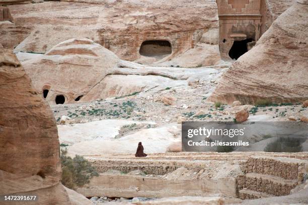 entfernte nicht wiederzuerkennende figur in der nähe des eingangs zum al siq canyon am frühen morgen, petra, jordanien, naher osten - treasury stock-fotos und bilder