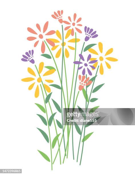 ilustrações, clipart, desenhos animados e ícones de um ramo de flores silvestres em um fundo transparente - wildflower