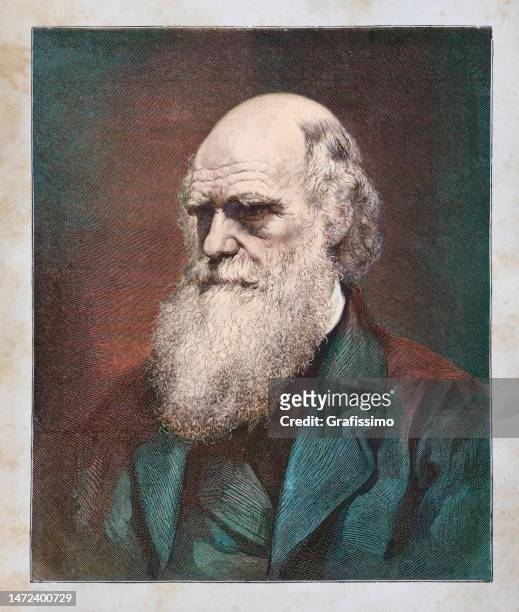 ilustraciones, imágenes clip art, dibujos animados e iconos de stock de retrato naturalista de charles darwin 1882 - darwin