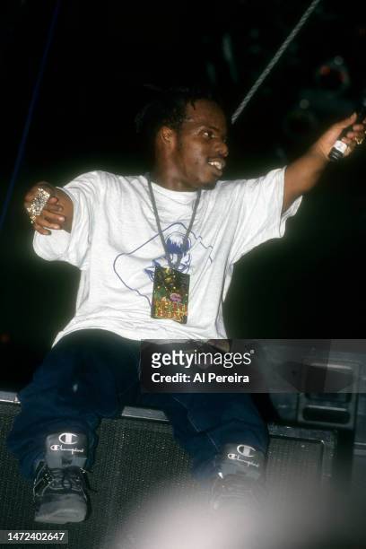 Rapper Bushwick Bill and The Geto Boys perform at Madison Square Garden on January 3, 1992 in New York City.