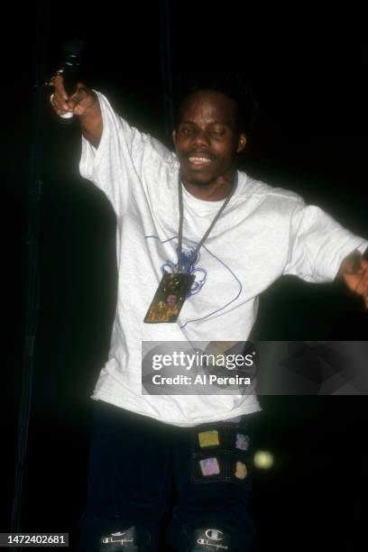 Rapper Bushwick Bill and The Geto Boys perform at Madison Square Garden on January 3, 1992 in New York City.