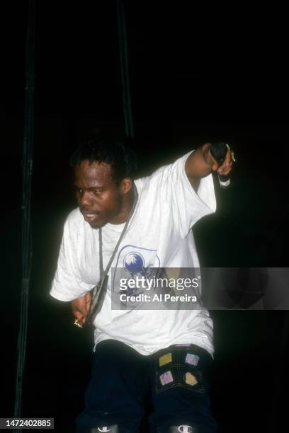 Rapper Bushwick Bill and The Geto Boys perform at Madison Square Garden on January 3, 1992 in New York City.