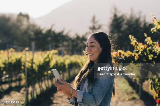 woman using smartphone in vineyard - chilean people stock pictures, royalty-free photos & images