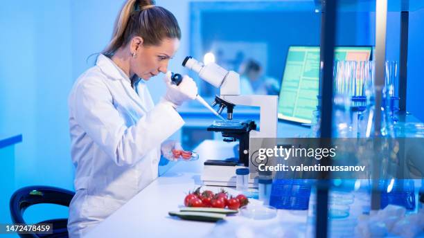 technicien de laboratoire femelles vérifier la qualité des légumes - biochimiste photos et images de collection