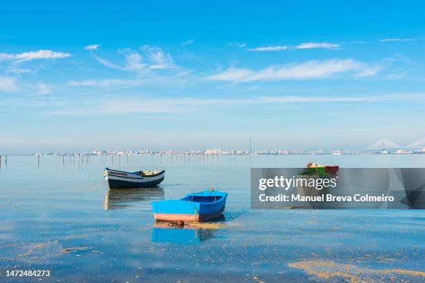 bahía de cádiz - estero stock pictures, royalty-free photos & images