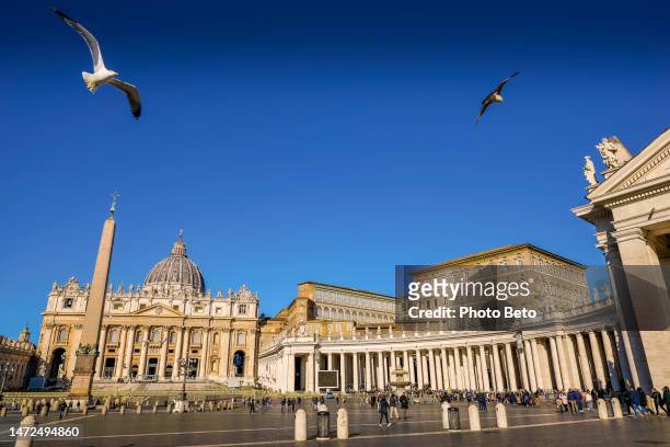 some seagulls fly over the square of st. peter's basilica in the historic and spiritual heart of rome - vatican city stockfoto's en -beelden