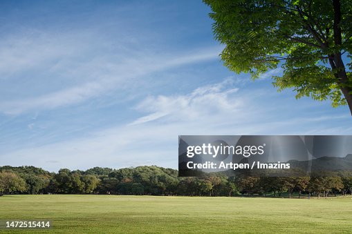 3D, CG, compositing, object, illustration, background 3D, CG, compositing, object, illustration, background