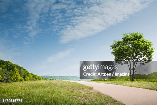 3D, CG, compositing, object, illustration, background 3D, CG, compositing, object, illustration, background