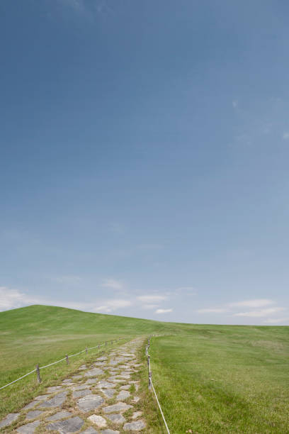 317 Real Life Backgrounds High Res Illustrations - Getty Images