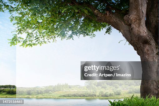 3D, CG, compositing, object, illustration, background 3D, CG, compositing, object, illustration, background