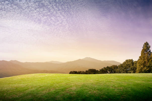 317 Real Life Backgrounds High Res Illustrations - Getty Images