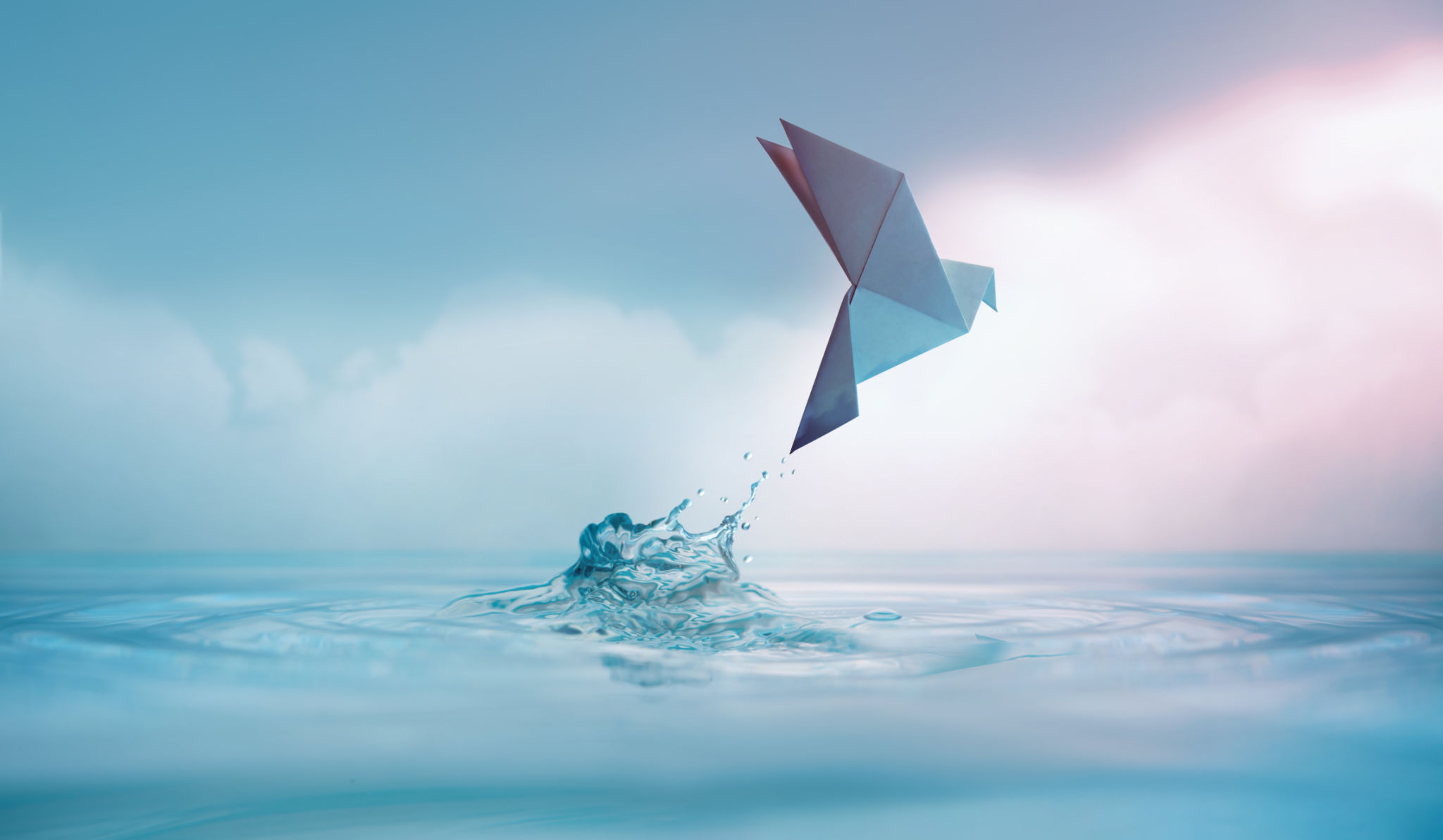 Peace concept. Conceptual photos to show the Freedom of White Origami Dove or Pigeon Flew from the Water into the Sky. International World Peace day, Human Rights, Love and Hope Peace concept. Conceptual photos to show the Freedom of White Origami Dove or Pigeon Flew from the Water into the Sky. International World Peace day, Human Rights, Love and Hope