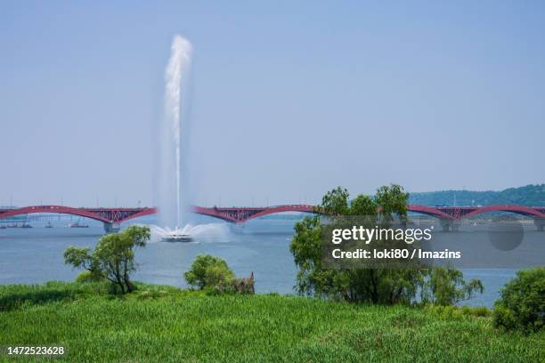han river fountain - hanfloden bildbanksfoton och bilder
