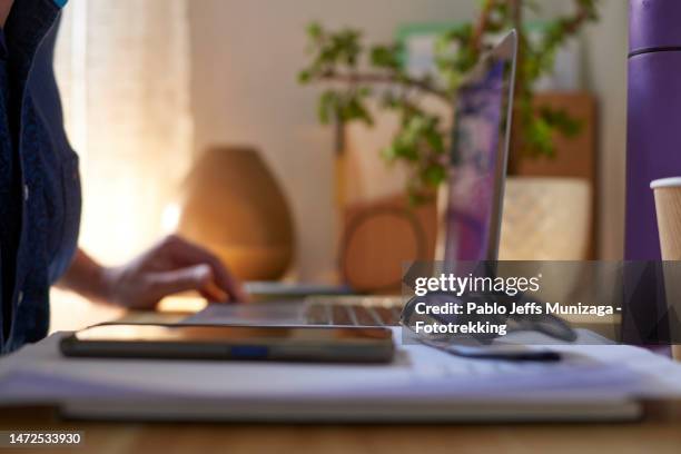 man using computer to prevent online fraud - haven stock pictures, royalty-free photos & images