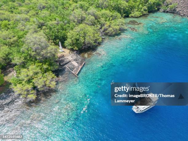 aerial view of the captain james cook monument, captain cook monument trail, kealakekua bay state historical park, big island, hawaii, usa - captain cook - fotografias e filmes do acervo