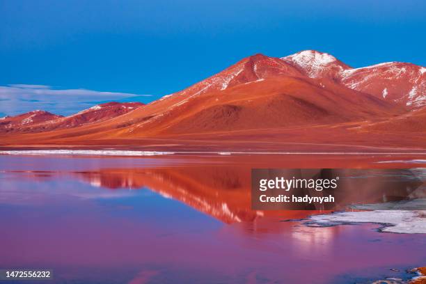 sonnenaufgang über laguna colorada, bolivianischer altiplano - bolivia stock-fotos und bilder