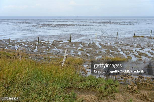 view over the salt marsh area at the eastern harbour of norddeich, north sea, lower saxony, germany - marsh harbour - fotografias e filmes do acervo
