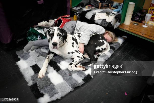 An owner takes a nap after a long second day of Crufts Dog Show at the NEC Arena on March 10, 2023 in Birmingham, England. Billed as the greatest dog...