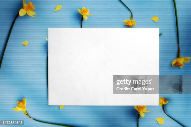 fresh flowers pattern in white with blank paper - table font view stock pictures, royalty-free photos & images