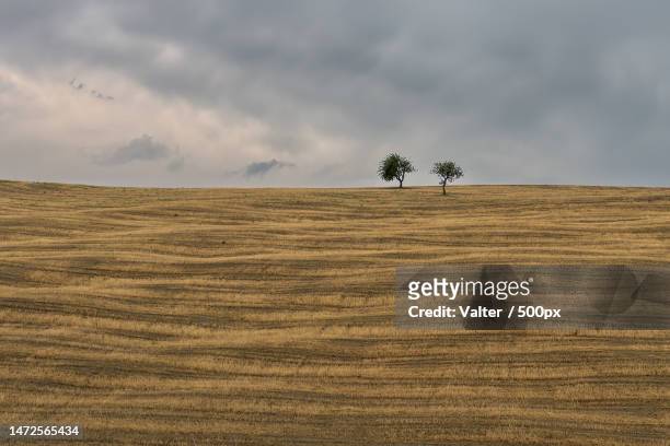 scenic view of agricultural field against sky,basilicata,italy - basilikata stock-fotos und bilder