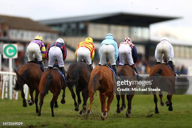 The field makes its way from the 2mile 161 furlong start during the Virgin Bet Cheltenham Festival Money Back Handicap hurdle race at Exeter...