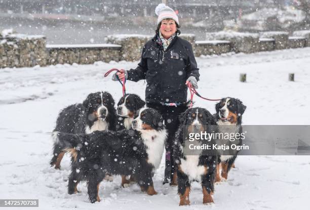 More snow awaits dogs and their owners as they arrive on day two of CRUFTS Dog Show at NEC Arena on March 10, 2023 in Birmingham, England. Billed as...