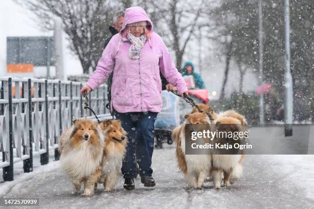 More snow awaits dogs and their owners as they arrive on day two of CRUFTS Dog Show at NEC Arena on March 10, 2023 in Birmingham, England. Billed as...