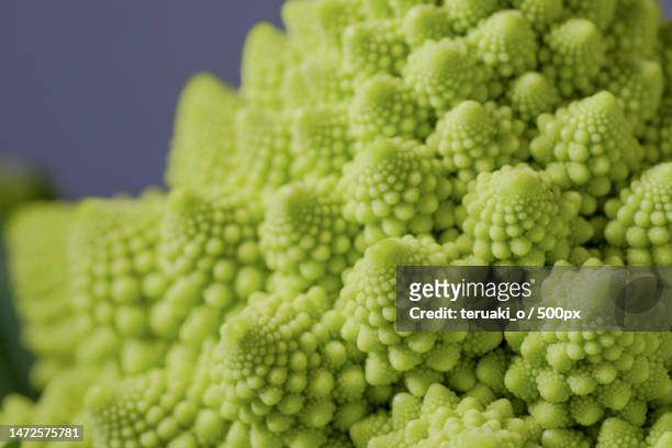 full frame shot of green cauliflower,japan - 拡大 stock-fotos und bilder