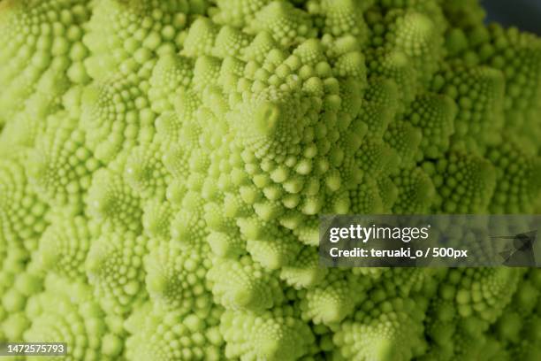 full frame shot of cauliflower,japan - 拡大 stockfoto's en -beelden