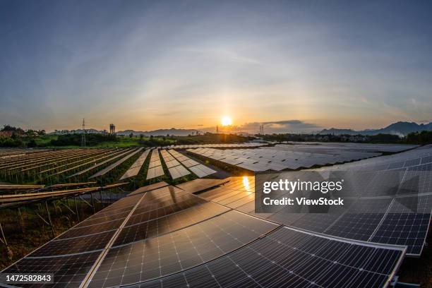 the ginger agricultural recovery and figure - 日出 imagens e fotografias de stock