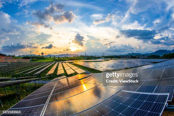 the ginger agricultural recovery and figure - 逆光 stockfoto's en -beelden