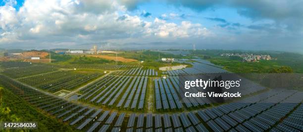 the ginger agricultural recovery and figure - 逆光 stockfoto's en -beelden