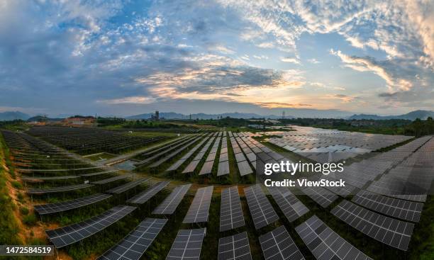 the ginger agricultural recovery and figure - 日出 imagens e fotografias de stock