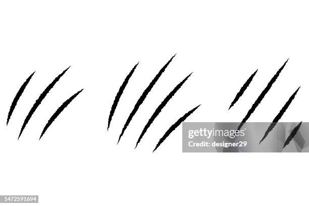 stockillustraties, clipart, cartoons en iconen met claws animal scratch set. - klauw-lichaamsdeel-van-dieren