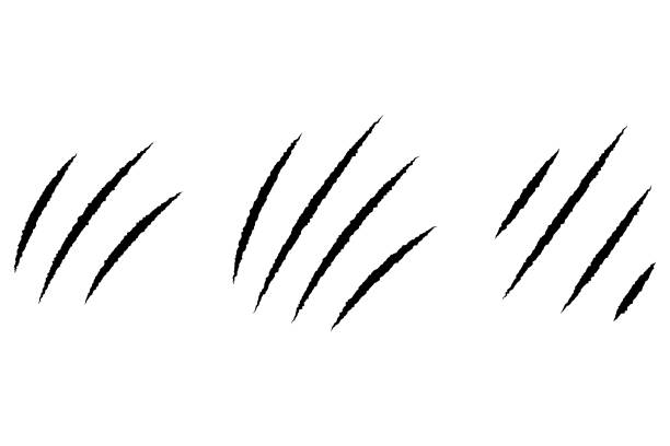 claws animal scratch set. - scratched stock illustrations