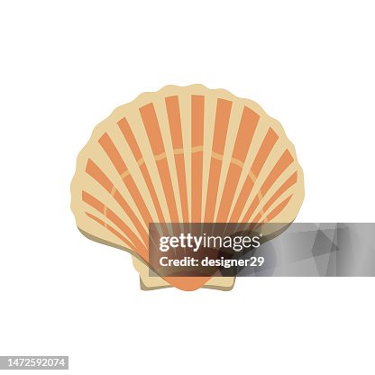 Shell Icon Vector Design. Shell Icon Vector Design.