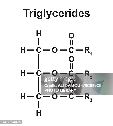 Triglyceride structure, Illustration Triglyceride structure, Illustration