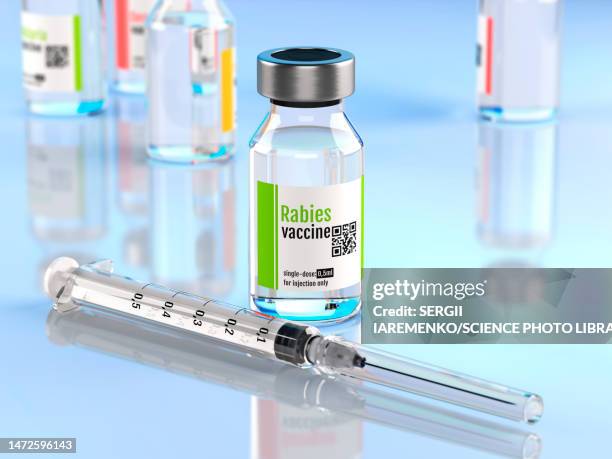 rabies vaccine, illustration - rabies stock illustrations