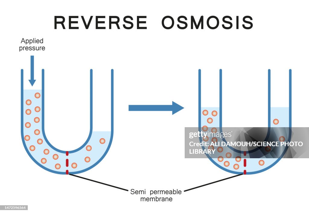 Reverse osmosis, illustration