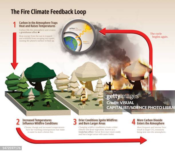 Fire Feedback Loop Heat Map Infographic Photos and Premium High Res Pictures - Getty Images