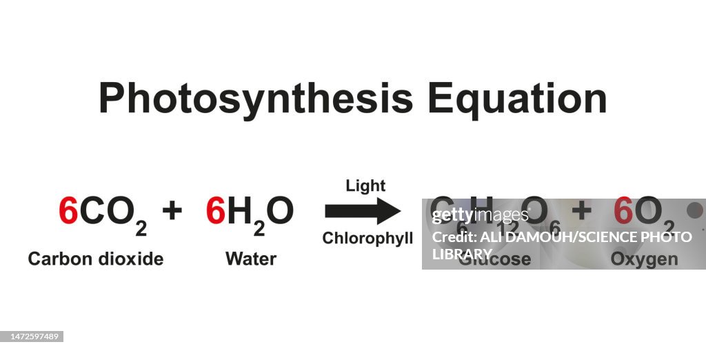 Photosynthesis Equation Illustration High Res Vector Graphic Getty Images photosynthesis-equation-illustration-high-res-vector-graphic-getty-images