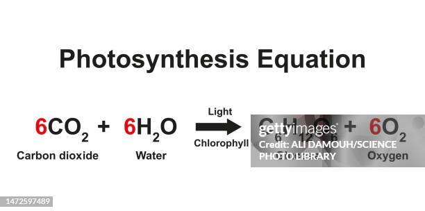 photosynthesis equation, illustration - photosynthesis 幅插畫檔、美工圖案、卡通及圖標