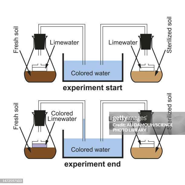 respiration experiment, illustration - cellular respiration diagram stock illustrations