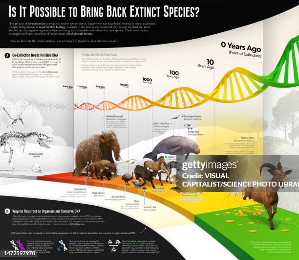 de-extinction, illustration - extinct stock pictures, royalty-free photos & images