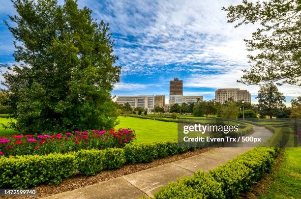 trees in park against sky,baton rouge,louisiana,united states,usa - baton rouge stock pictures, royalty-free photos & images