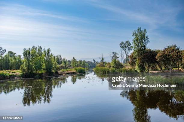 a beautiful, clear early morning in the canals of xochimilco - mexico city, mexico - united nations goals stock pictures, royalty-free photos & images