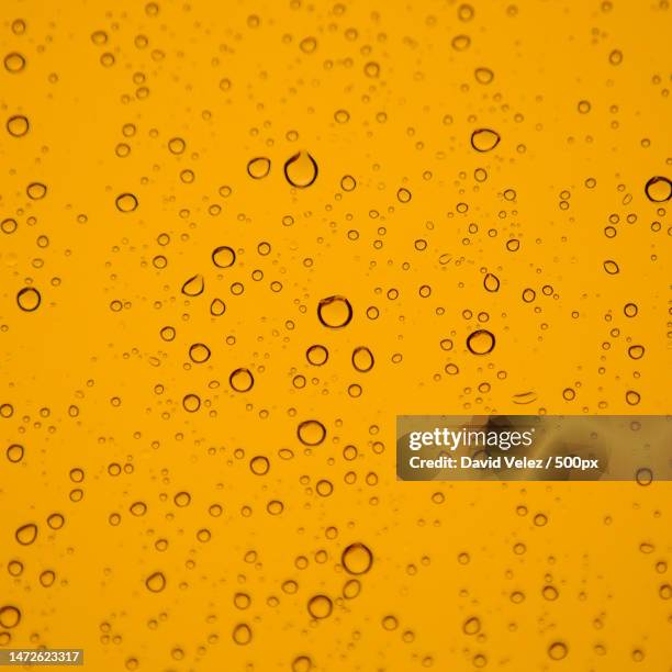 full frame shot of beer glass,portugal - david noone stock pictures, royalty-free photos & images