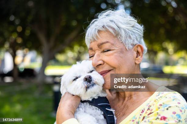 une femme âgée métisse tenant son chiot à l’extérieur - septuagénaire photos et images de collection