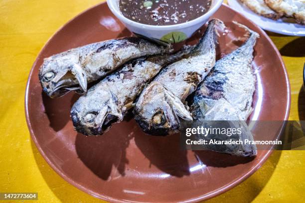 shrimp paste chili paste with mackerel - fried mackerel stock pictures, royalty-free photos & images